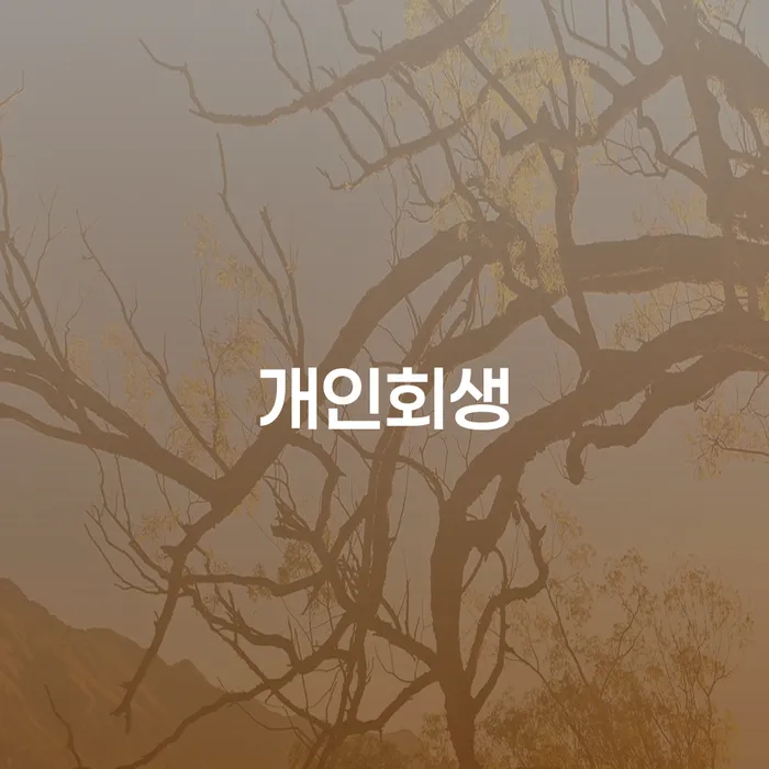 개인회생변제금계산 개인회생 확인하자
