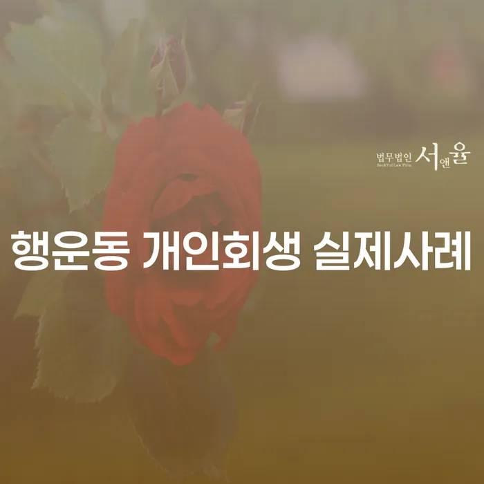 행운동 개인회생 실제사례