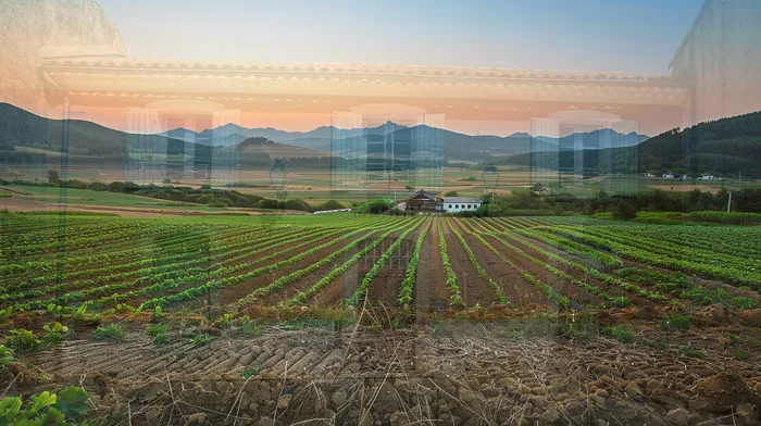 거여동 개인회생 사례